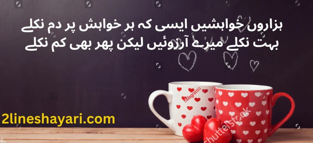 2 line urdu shayari