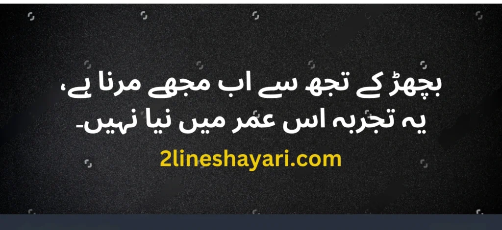 2 line urdu shayari